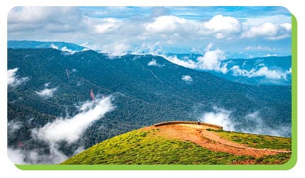 coorg