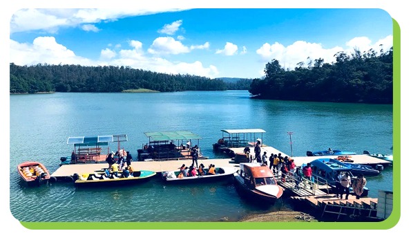 ooty 