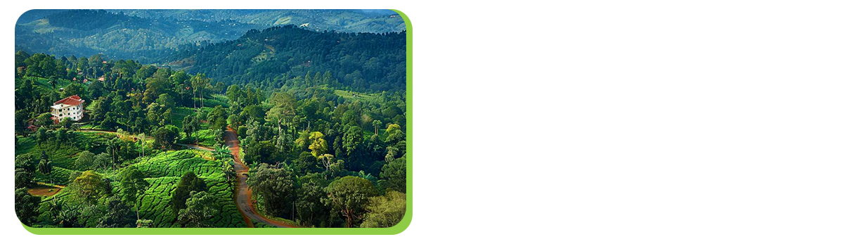 coorg