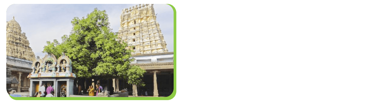 ekambareswarar temple