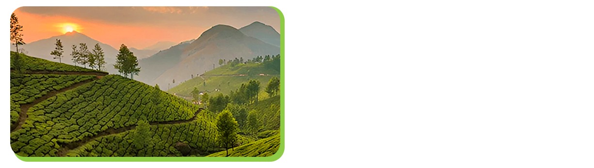 munnar