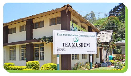 tea museum tea factory