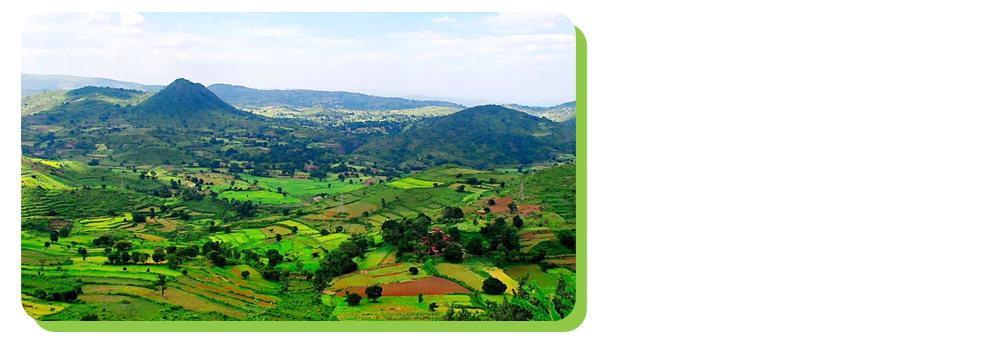 araku valley