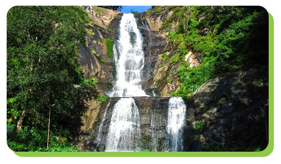 bear shola falls