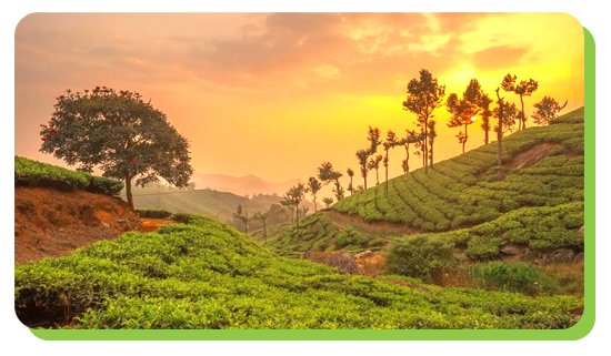 best places to visit in kerala during summer