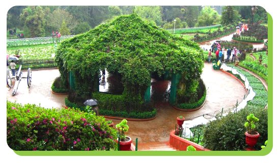botanical garden