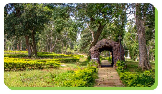 botanical garden