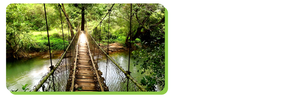 coorg