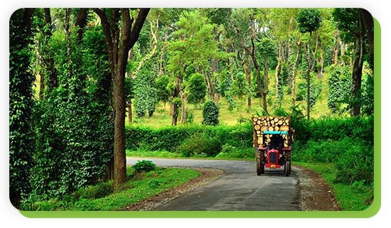 coorg