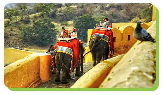 cultural heritage tours