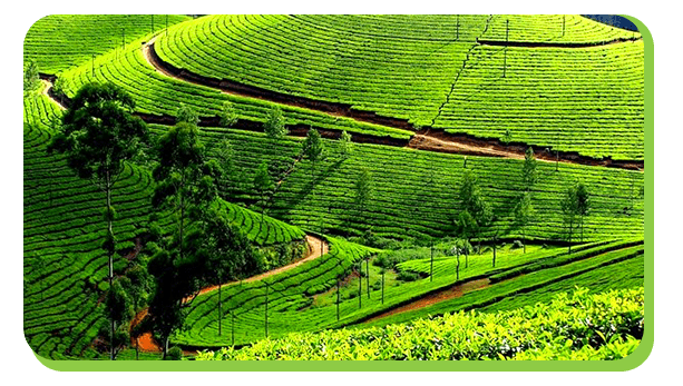 day one chennai to munnar