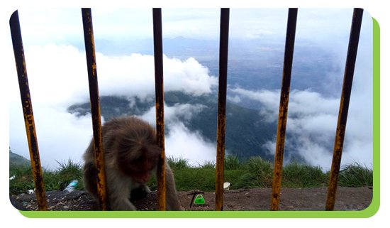 green valley view suicide point