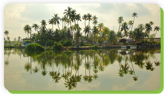 kayamkulam lake