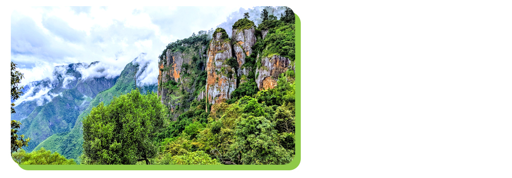 kodaikanal 