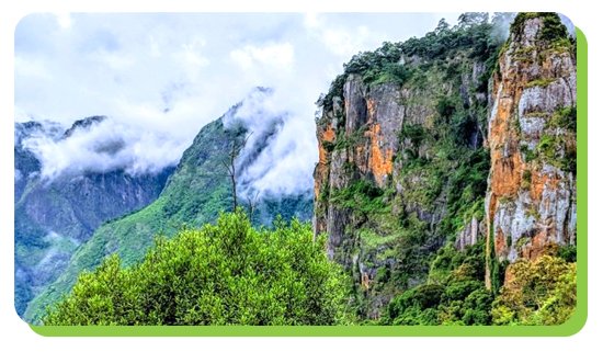 kodaikanal