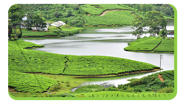 meghamalai