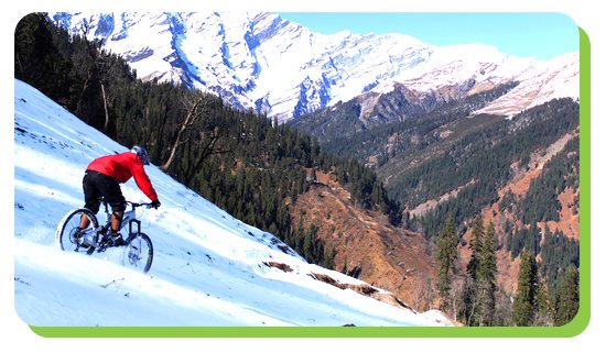 mountain biking