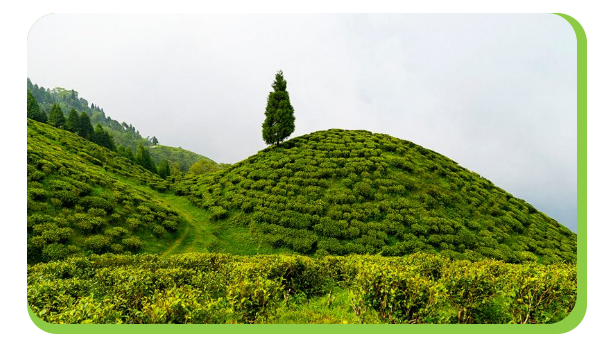 mountain landscape