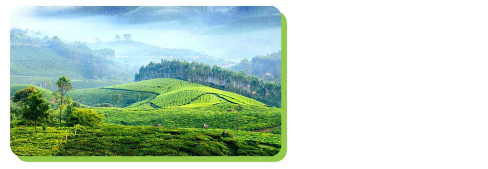 munnar