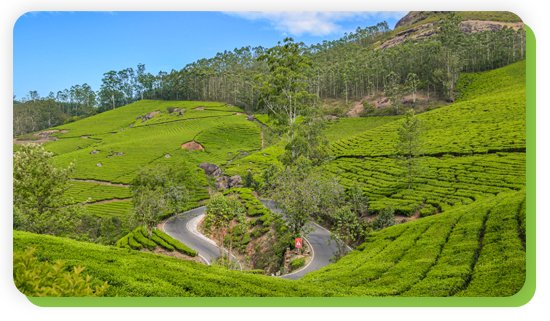 munnar