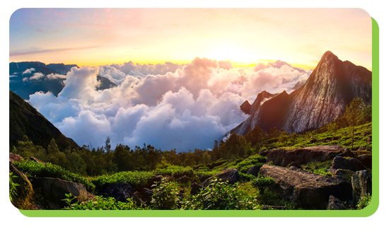 munnar the crown jewel of kerala hill stations