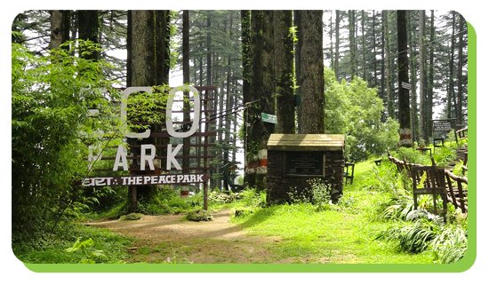 mussoorie visit dhanaultis eco park nearby
