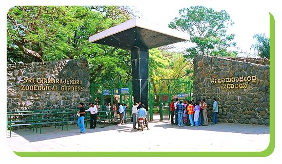 mysore zoo