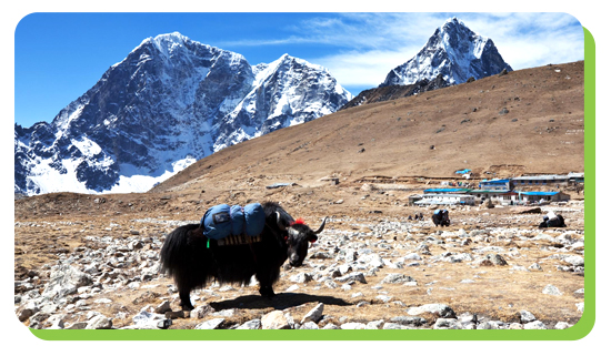 nepal