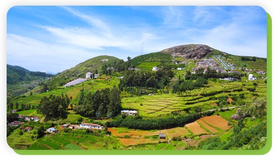 ooty