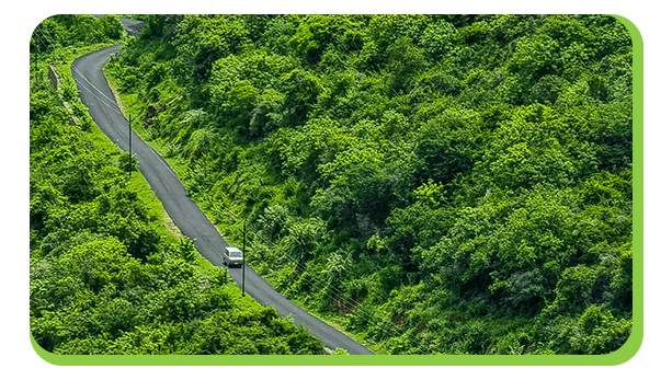 pachamalai hills