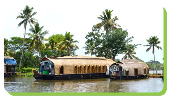 pallathuruthy