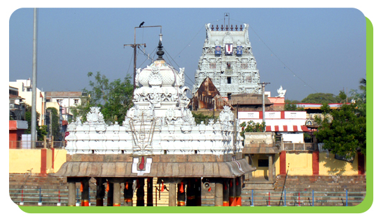 parthasarathy temple
