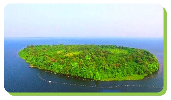 pathiramanal island a nature lover’s spot