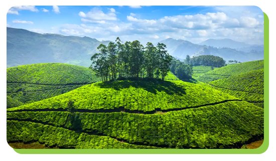south india tour packages from chennai