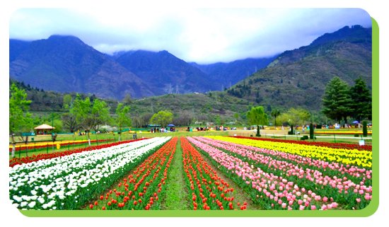 spring season in kashmir march to early may