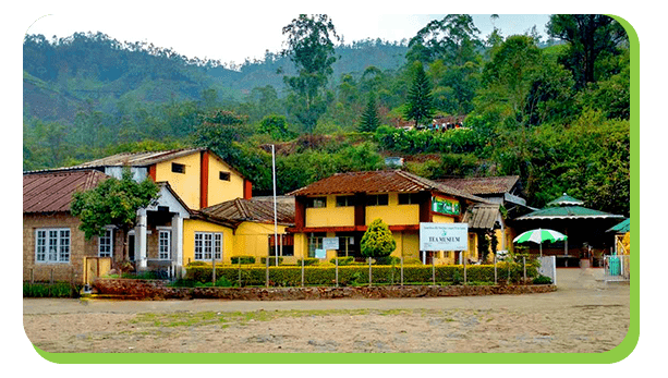 tea museum and plantations