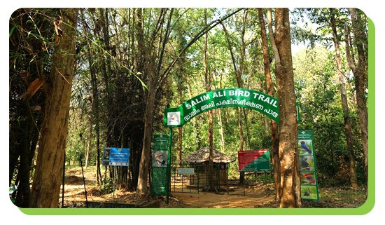 thattekad bird sanctuary
