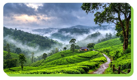 vagamon the quiet escape