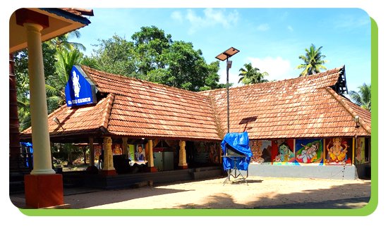 vayalar