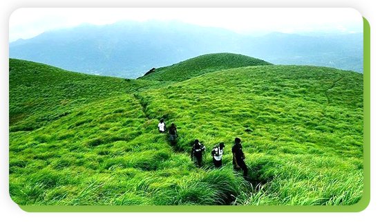 wayanad