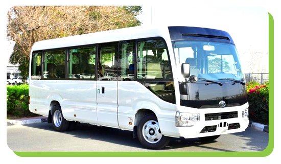 what is a minibus