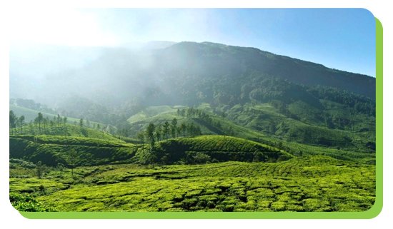 winter season in kerala