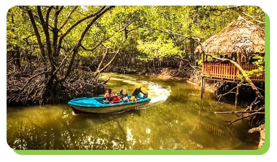 winter season october to march