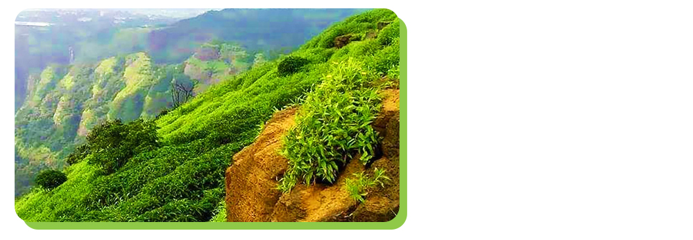 yelagiri
